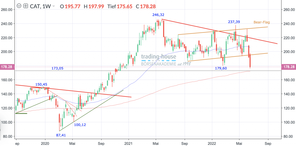 Caterpillar Analyse Im Abw rtssog Der B ren
